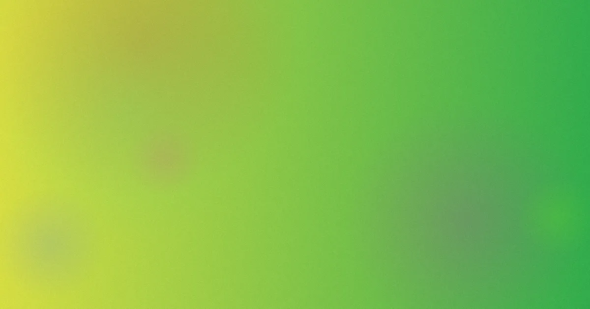 小红花推荐：新手这样选